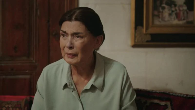 Кадры из сериала Зимородок 9 серия 1 сезон (2022)